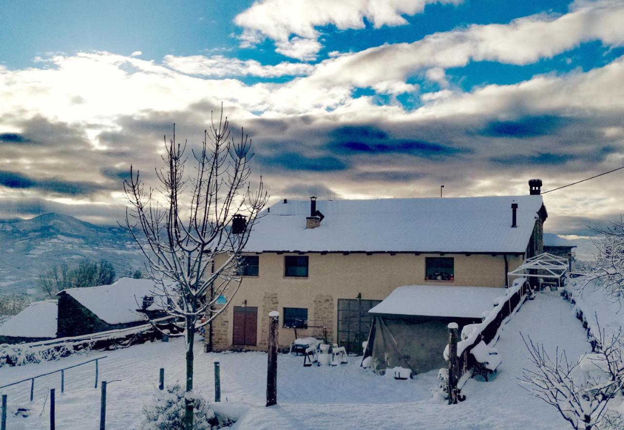 Bed and Breakfast Daina Bianca Solignano Экстерьер фото